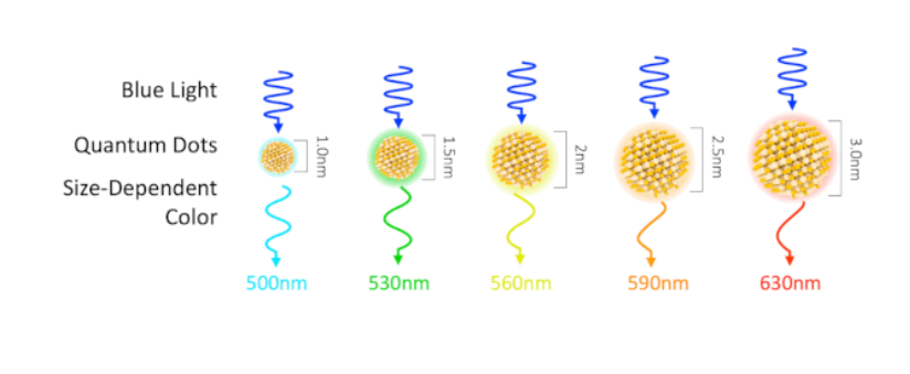 【光學知識】量子點CMOS